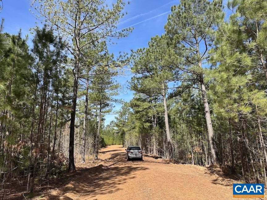 TBD ROLLING RD, CHARLOTTESVILLE, Virginia 22902, ,Farm,14,TBD ROLLING RD,675728 MLS # 675728