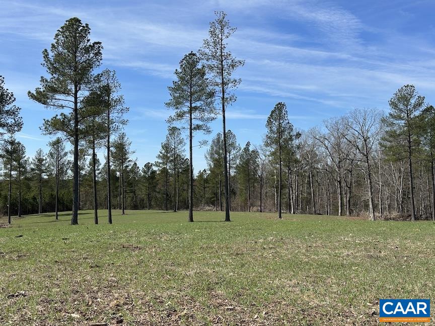 TBD ROLLING RD, CHARLOTTESVILLE, Virginia 22902, ,Farm,14,TBD ROLLING RD,675728 MLS # 675728