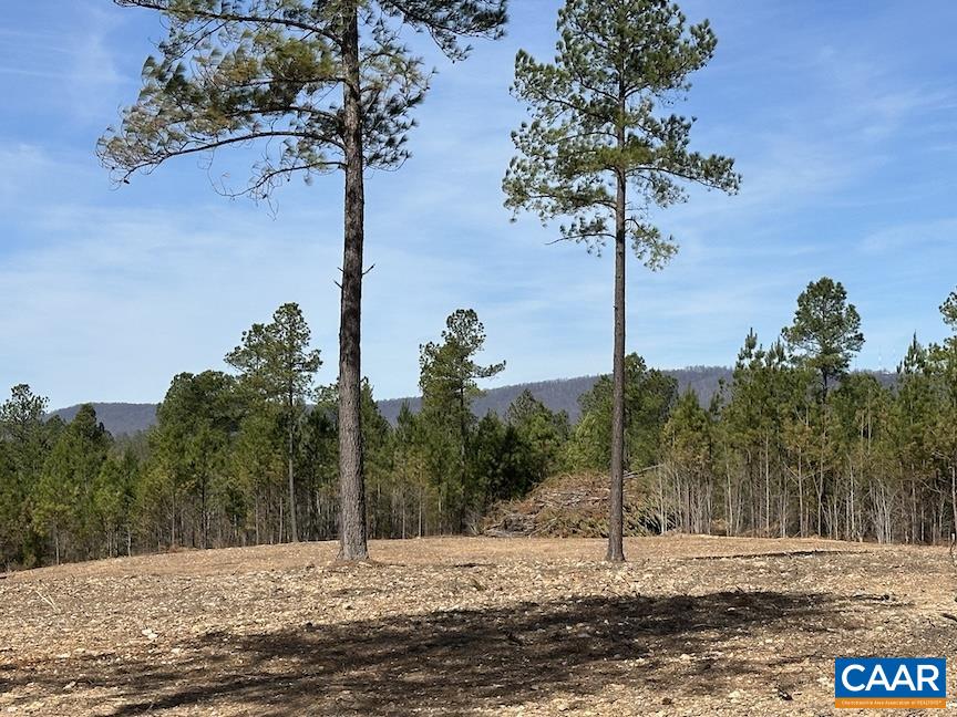 TBD ROLLING RD, CHARLOTTESVILLE, Virginia 22902, ,Farm,14,TBD ROLLING RD,675728 MLS # 675728