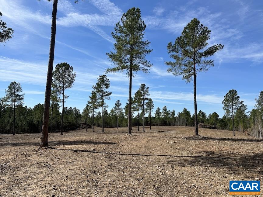 TBD ROLLING RD, CHARLOTTESVILLE, Virginia 22902, ,Farm,14,TBD ROLLING RD,675728 MLS # 675728