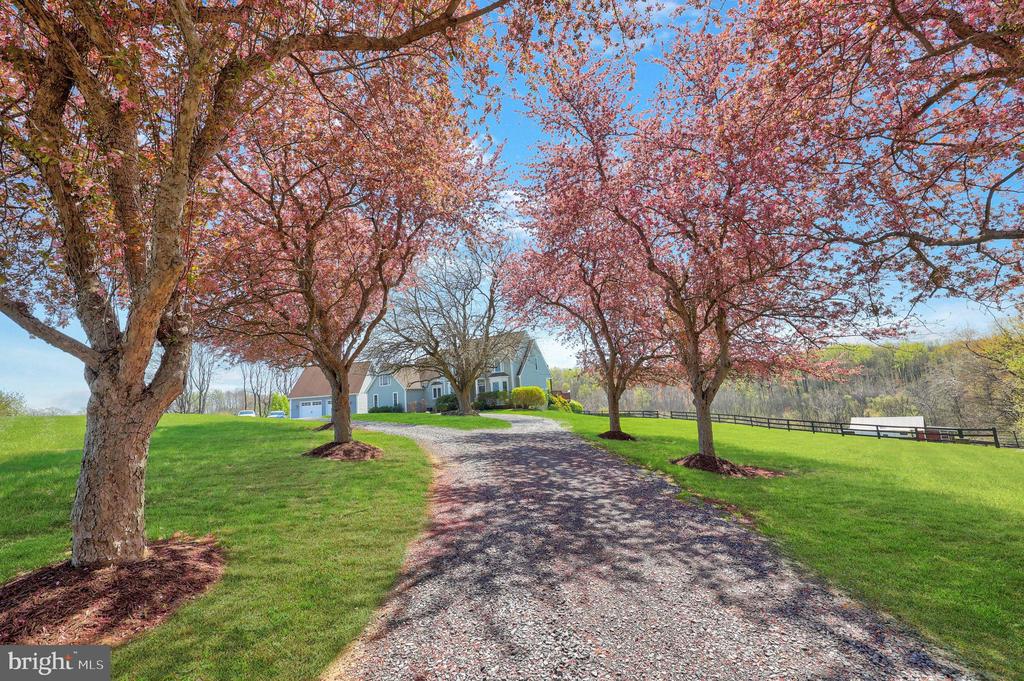 9393 BRIAR LN, DELAPLANE, Virginia, ,Residential,14,9393 BRIAR LN,VAFQ2020592 MLS # VAFQ2020592