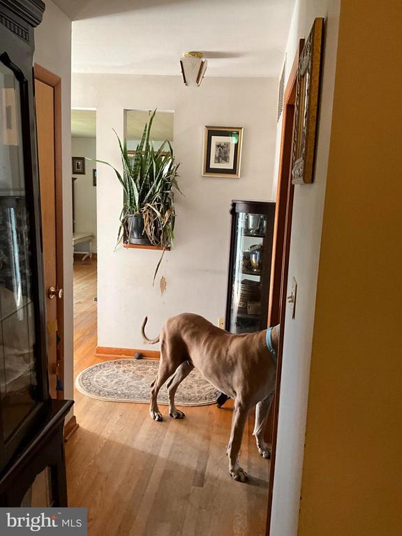 16080 NEWBYS SHOP, ELKWOOD, Virginia 22718, ,Residential,14,16080 NEWBYS SHOP,VACU2013284 MLS # VACU2013284