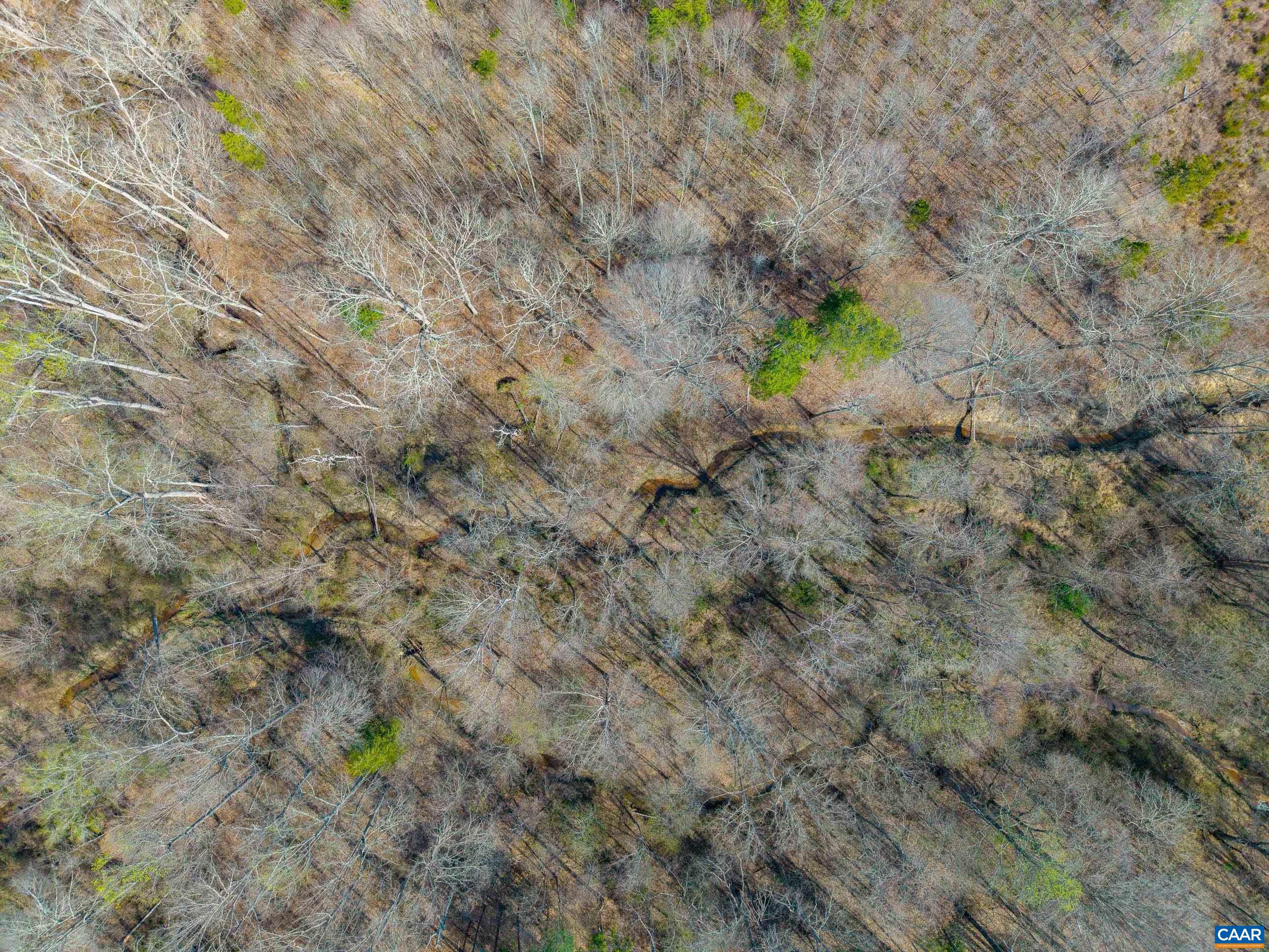 0000 CHURCHWOOD LN, CUMBERLAND, Virginia 23040, ,Farm,14,0000 CHURCHWOOD LN,675634 MLS # 675634