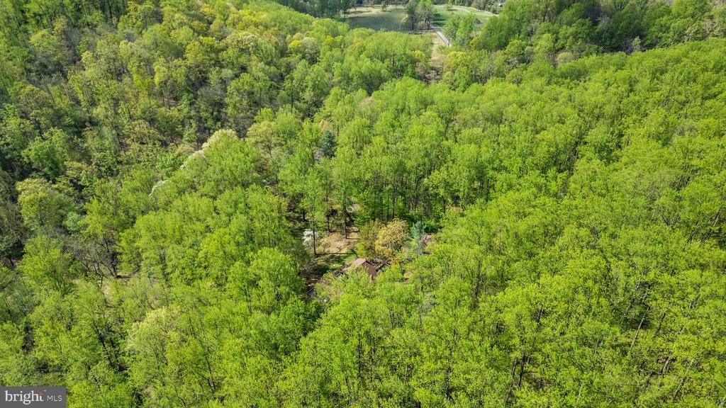 902 HARRIS HOLLOW RD, WASHINGTON, Virginia, 4 Bedrooms Bedrooms, ,4 BathroomsBathrooms,Residential,14,902 HARRIS HOLLOW RD,VARP2002516 MLS # VARP2002516