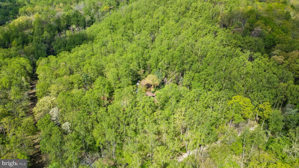 902 HARRIS HOLLOW RD, WASHINGTON, Virginia, 4 Bedrooms Bedrooms, ,4 BathroomsBathrooms,Residential,14,902 HARRIS HOLLOW RD,VARP2002516 MLS # VARP2002516