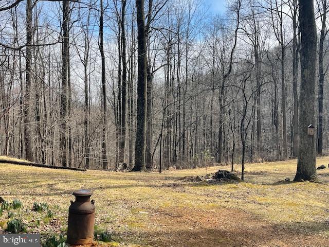 902 HARRIS HOLLOW RD, WASHINGTON, Virginia, 4 Bedrooms Bedrooms, ,4 BathroomsBathrooms,Residential,14,902 HARRIS HOLLOW RD,VARP2002516 MLS # VARP2002516