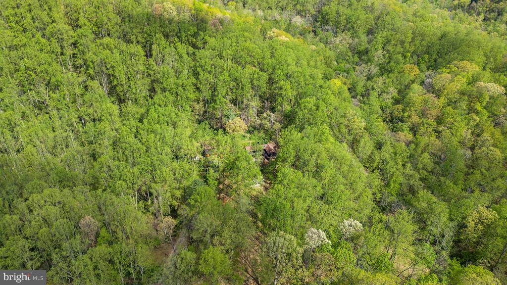 902 HARRIS HOLLOW RD, WASHINGTON, Virginia, 4 Bedrooms Bedrooms, ,4 BathroomsBathrooms,Residential,14,902 HARRIS HOLLOW RD,VARP2002516 MLS # VARP2002516