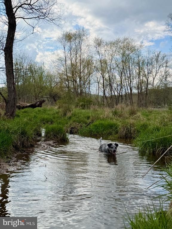 1901 MISTY MEADOWS LN, MARKHAM, Virginia, 2 Bedrooms Bedrooms, ,2 BathroomsBathrooms,Residential,14,1901 MISTY MEADOWS LN,VAFQ2021462 MLS # VAFQ2021462