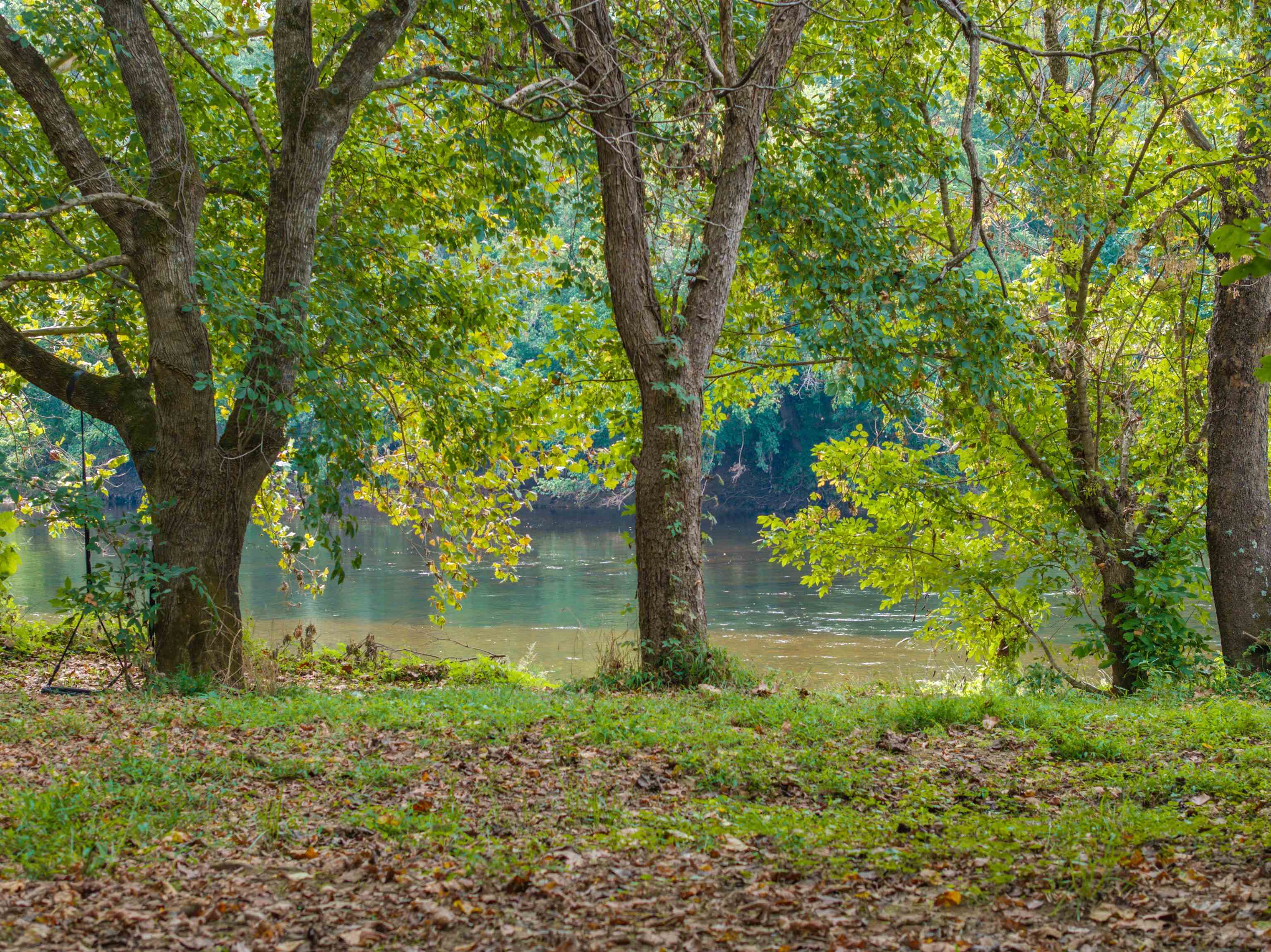 TBD JONES OVERLOOK, HOWARDSVILLE, Virginia 24562, ,Farm,14,TBD JONES OVERLOOK,675940 MLS # 675940