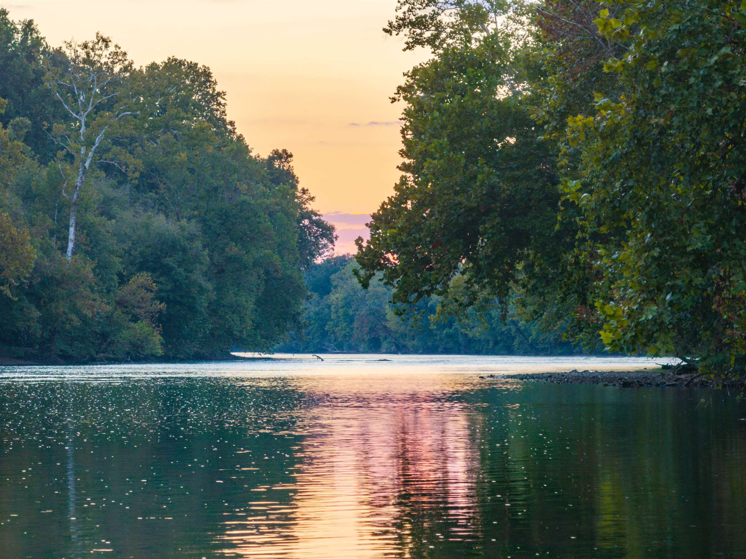 TBD JONES OVERLOOK, HOWARDSVILLE, Virginia 24562, ,Farm,14,TBD JONES OVERLOOK,675940 MLS # 675940