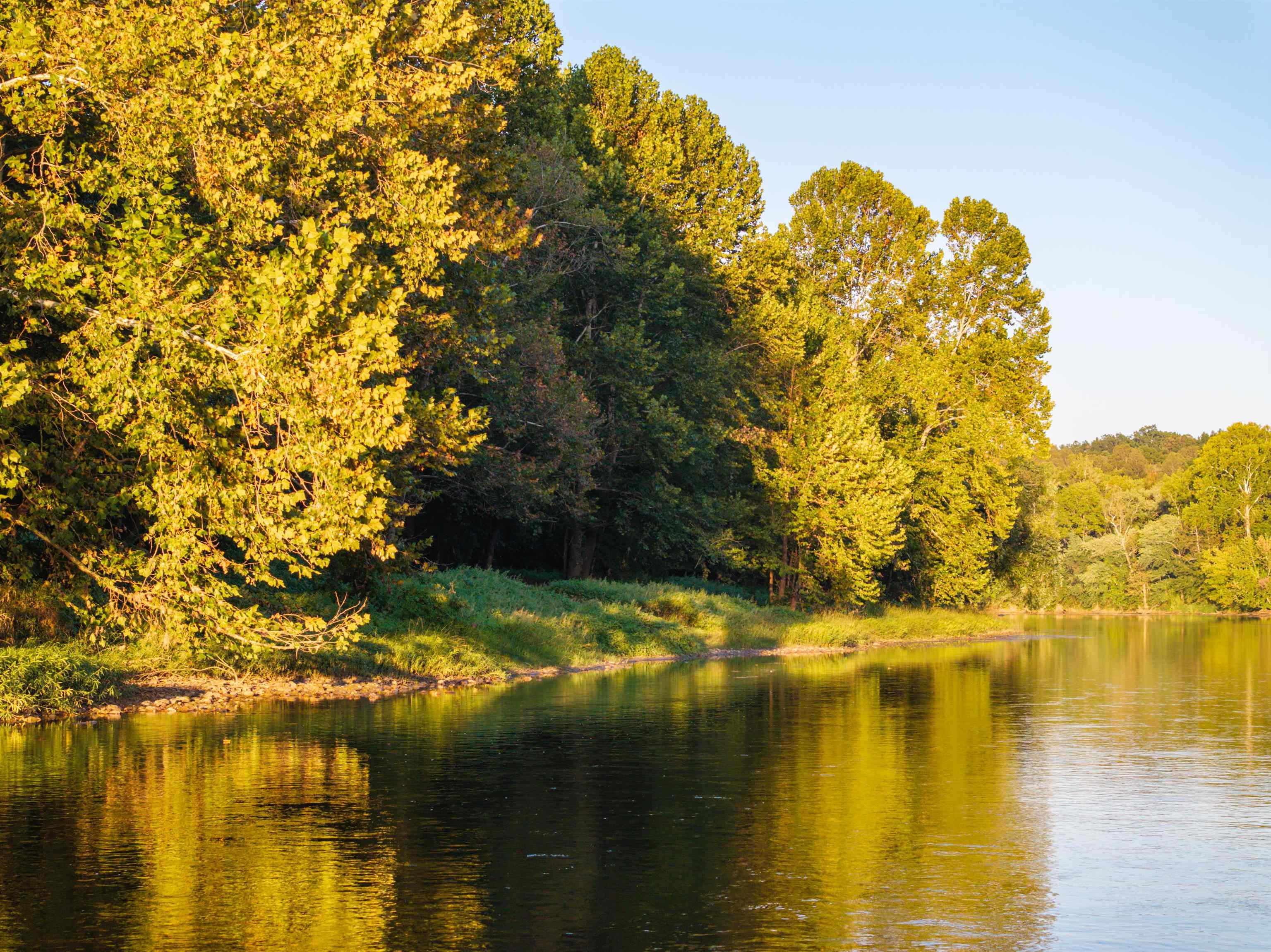 TBD JONES OVERLOOK, HOWARDSVILLE, Virginia 24562, ,Farm,14,TBD JONES OVERLOOK,675940 MLS # 675940