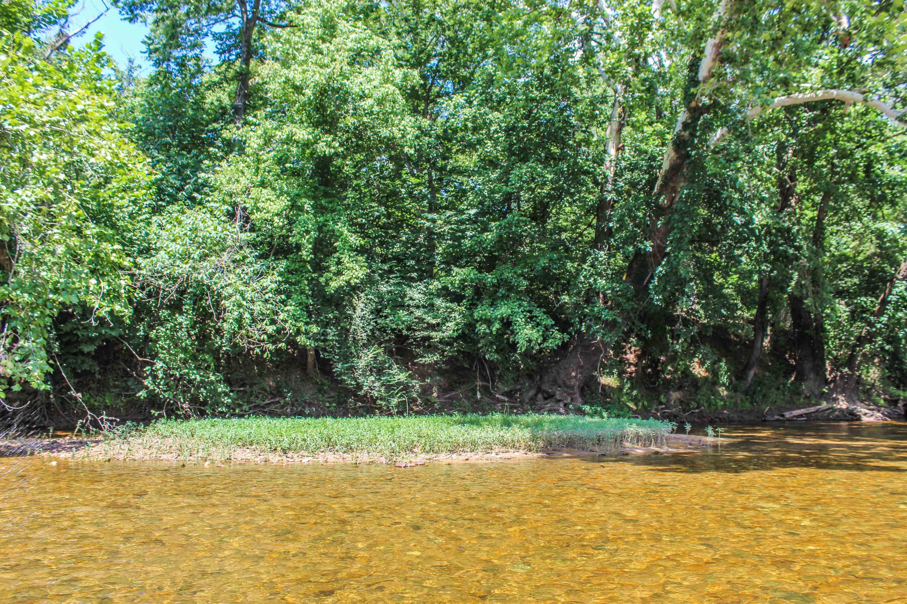 TBD JONES OVERLOOK, HOWARDSVILLE, Virginia 24562, ,Farm,14,TBD JONES OVERLOOK,675940 MLS # 675940