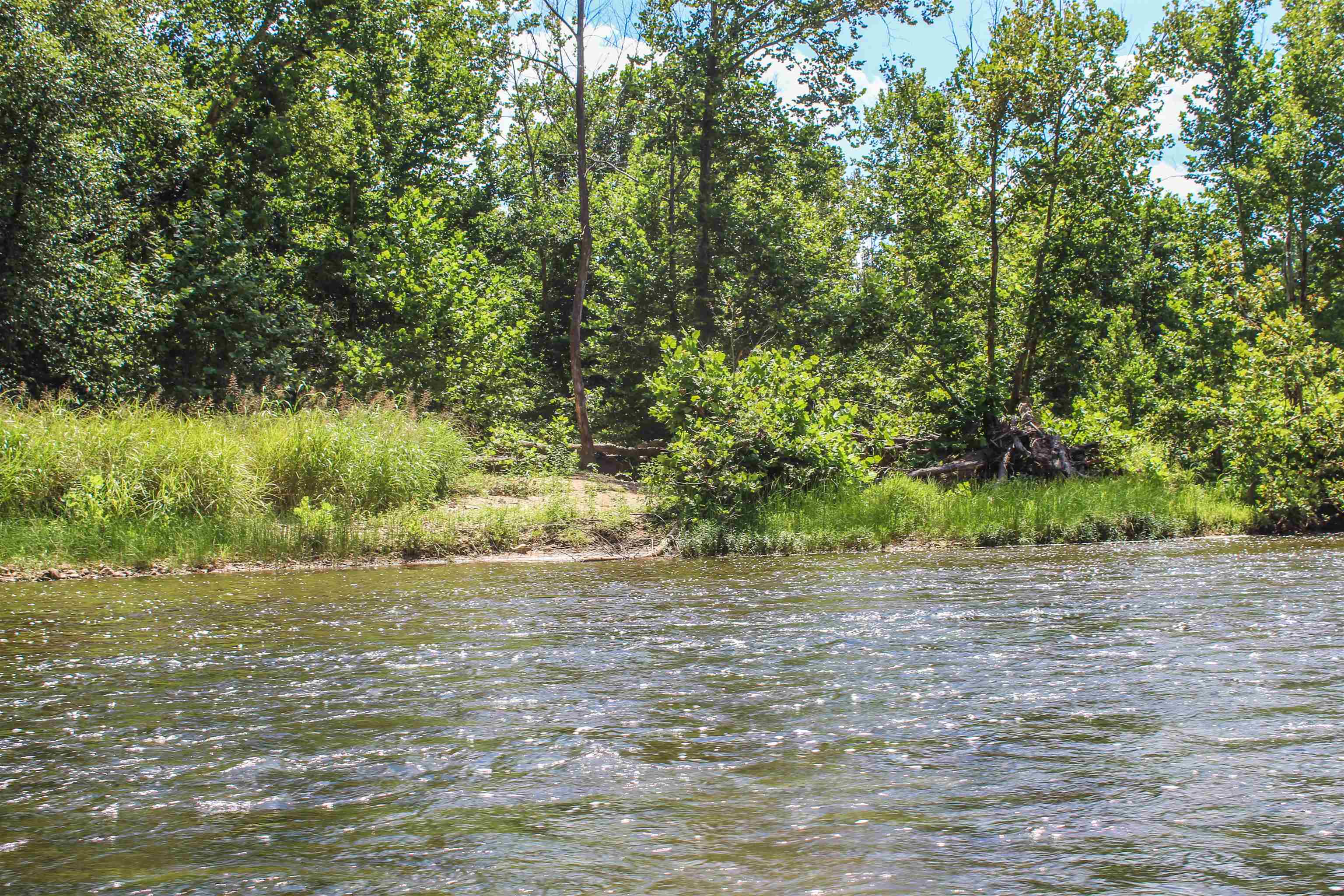 TBD JONES OVERLOOK, HOWARDSVILLE, Virginia 24562, ,Farm,14,TBD JONES OVERLOOK,675940 MLS # 675940