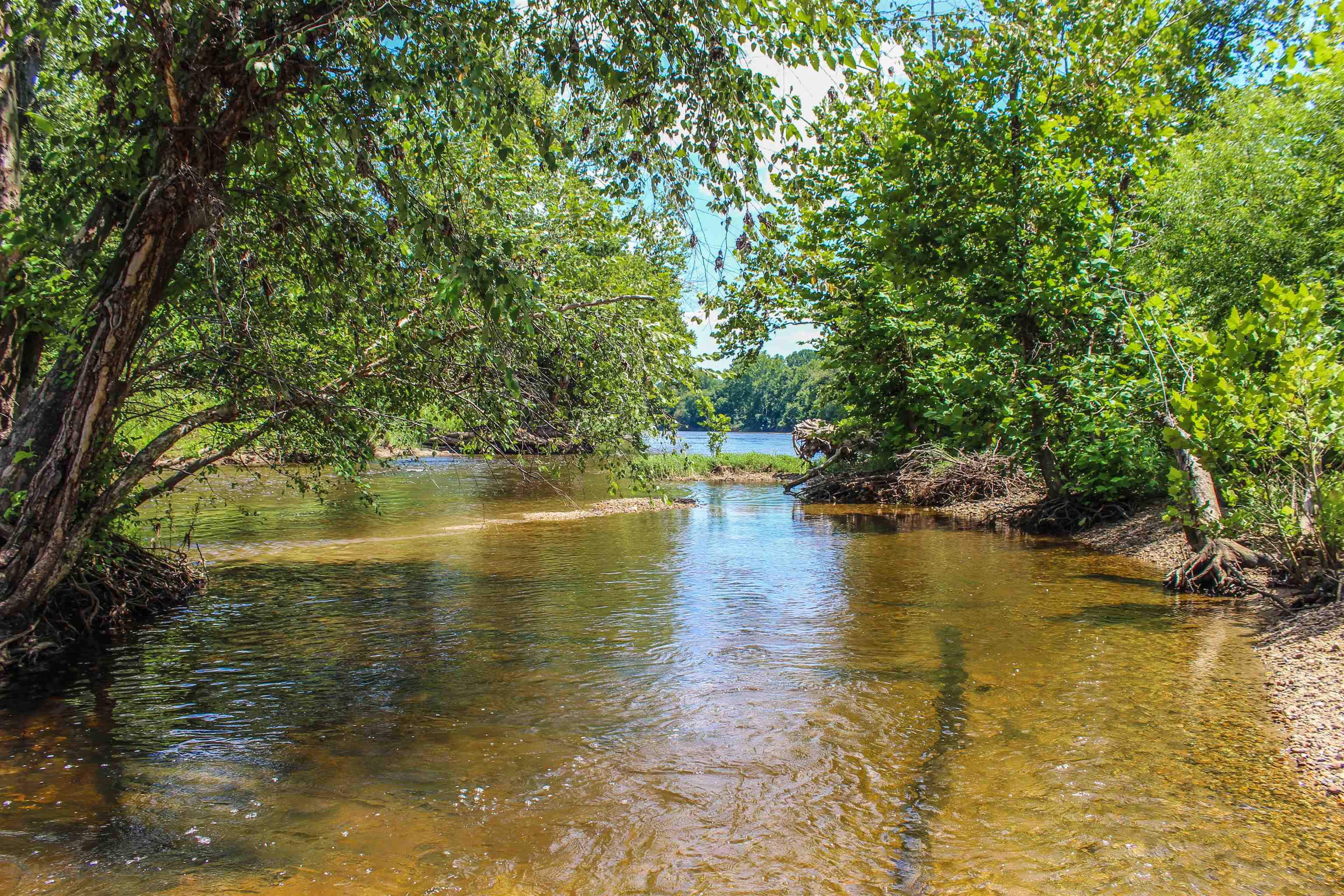TBD JONES OVERLOOK, HOWARDSVILLE, Virginia 24562, ,Farm,14,TBD JONES OVERLOOK,675940 MLS # 675940
