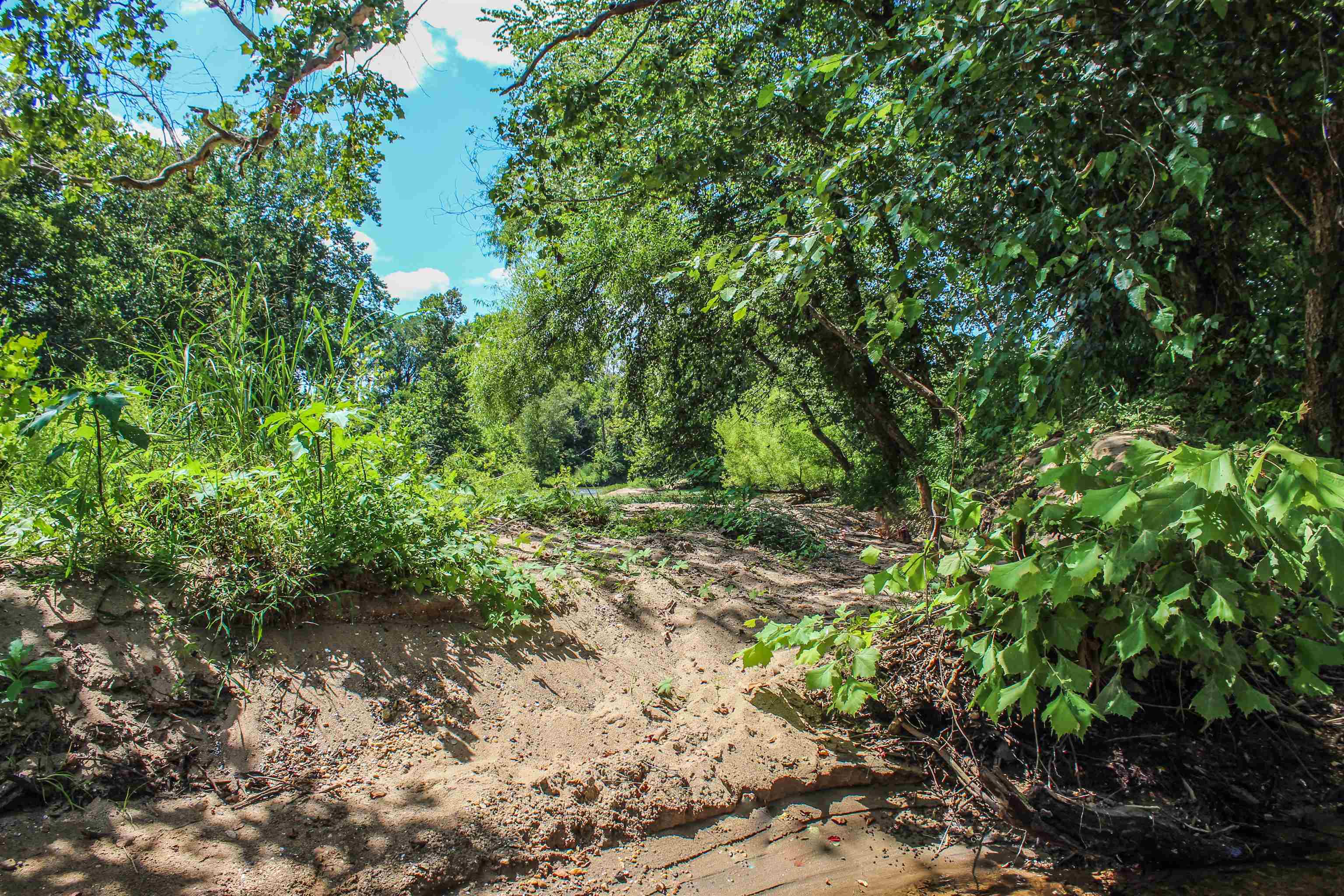 TBD JONES OVERLOOK, HOWARDSVILLE, Virginia 24562, ,Farm,14,TBD JONES OVERLOOK,675940 MLS # 675940