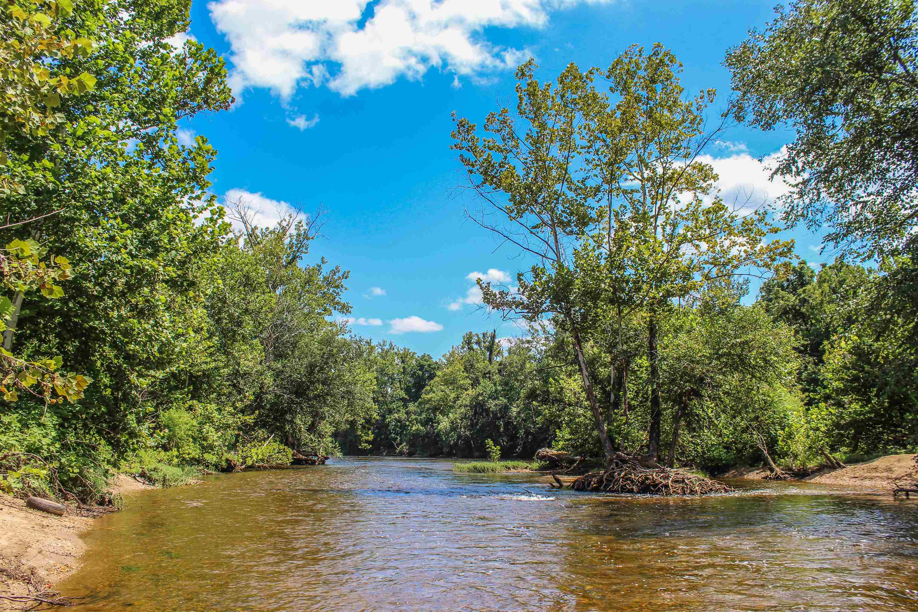 TBD JONES OVERLOOK, HOWARDSVILLE, Virginia 24562, ,Farm,14,TBD JONES OVERLOOK,675940 MLS # 675940