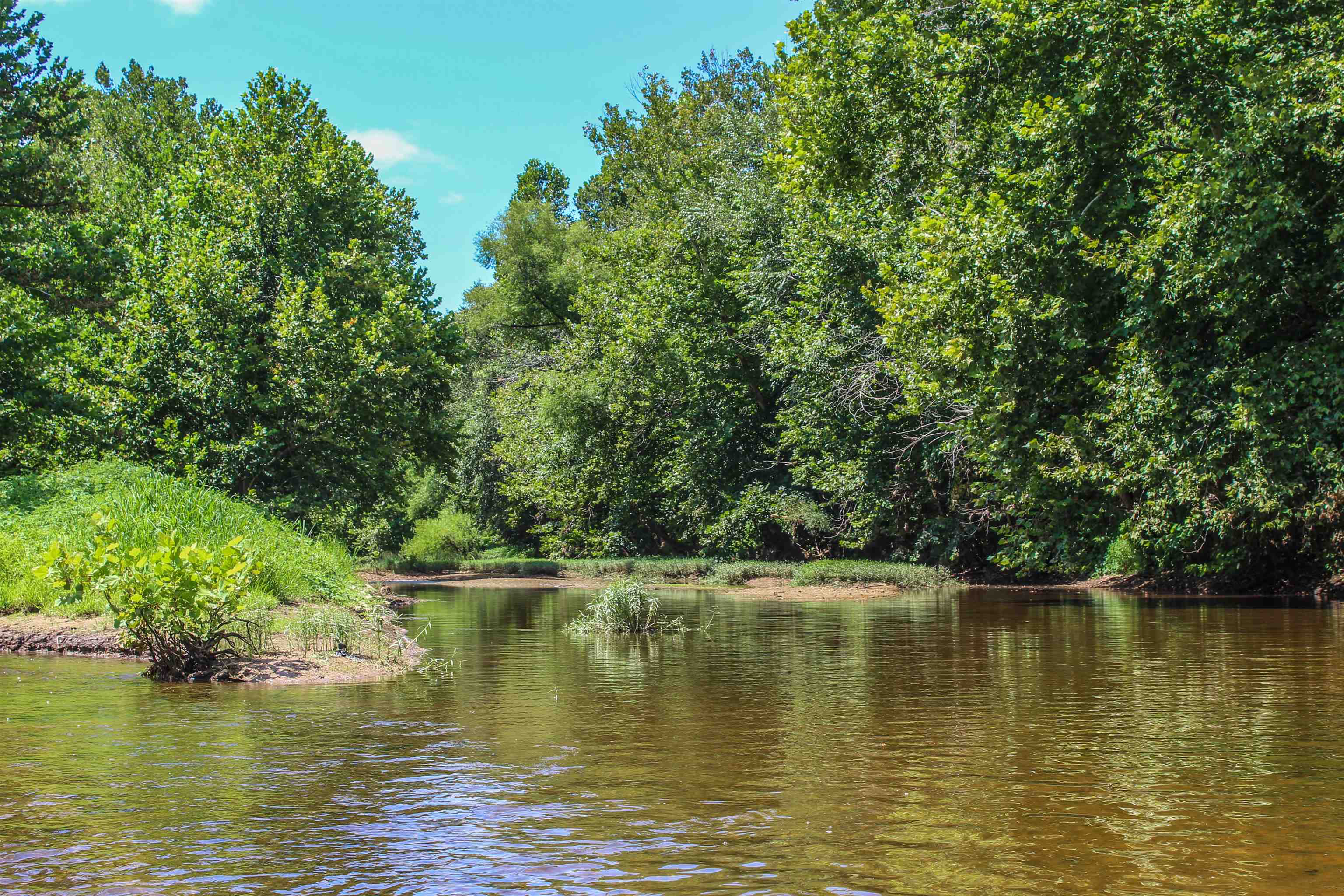 TBD JONES OVERLOOK, HOWARDSVILLE, Virginia 24562, ,Farm,14,TBD JONES OVERLOOK,675940 MLS # 675940