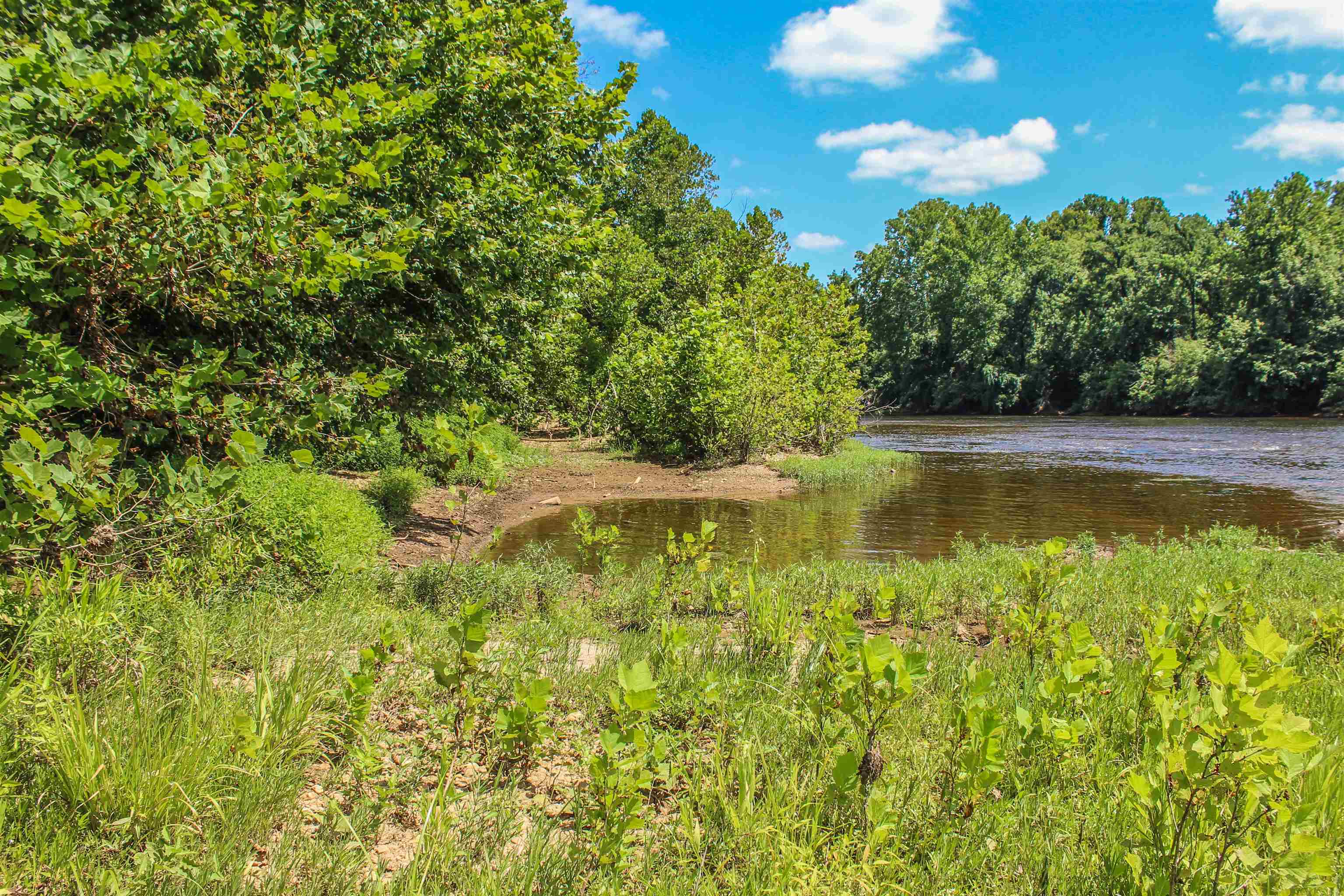 TBD JONES OVERLOOK, HOWARDSVILLE, Virginia 24562, ,Farm,14,TBD JONES OVERLOOK,675940 MLS # 675940