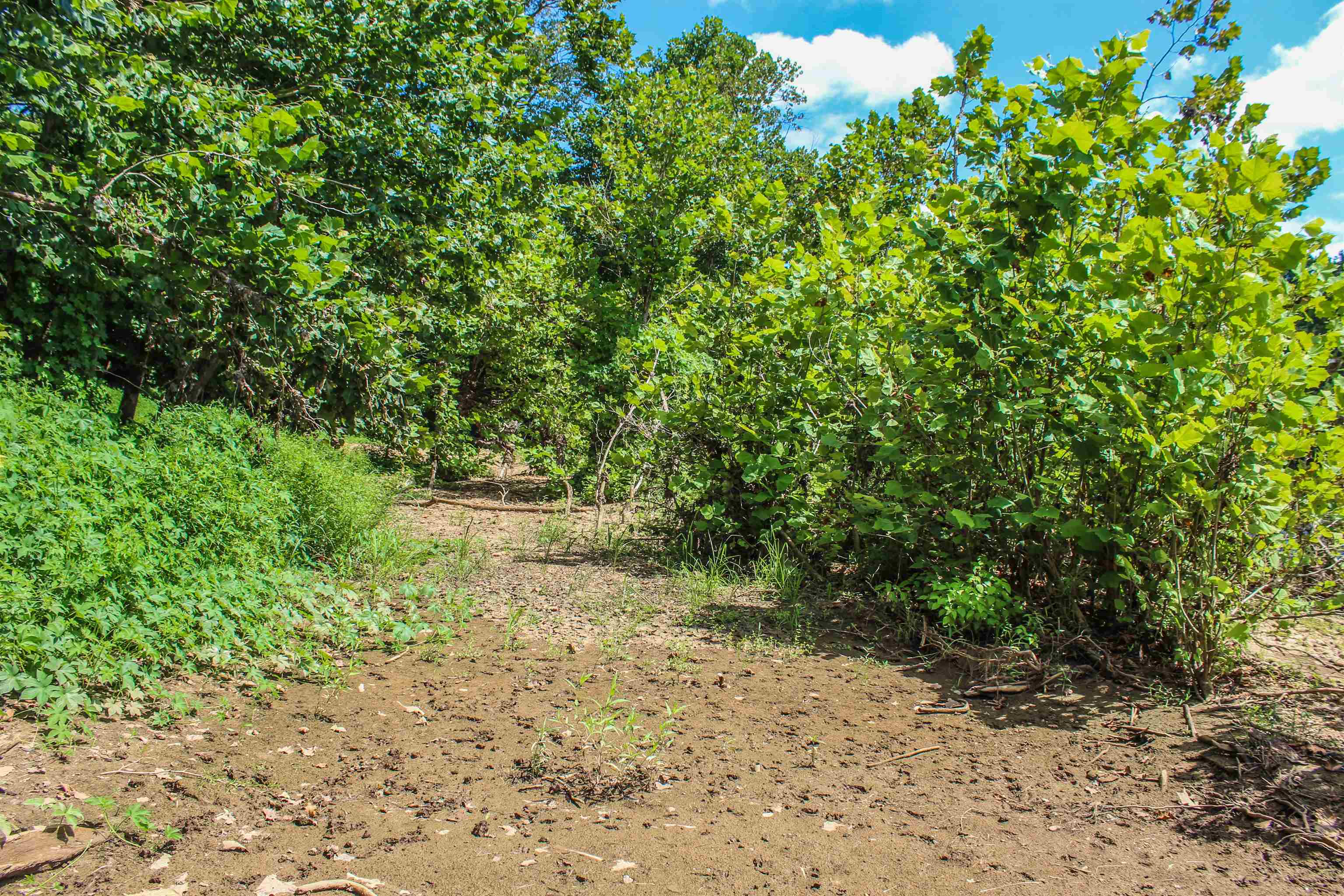 TBD JONES OVERLOOK, HOWARDSVILLE, Virginia 24562, ,Farm,14,TBD JONES OVERLOOK,675940 MLS # 675940