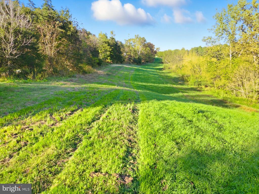 240 STONELEIGH RD, PALMYRA, Virginia 22963, 7 Bedrooms Bedrooms, ,5 BathroomsBathrooms,Residential,14,240 STONELEIGH RD,VAFN2000664 MLS # VAFN2000664