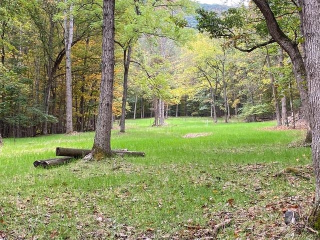 81.5 Acres HOPKINS GAP RD, FULKS RUN, Virginia 22830, ,Farm,14,81.5 Acres HOPKINS GAP RD,675971 MLS # 675971