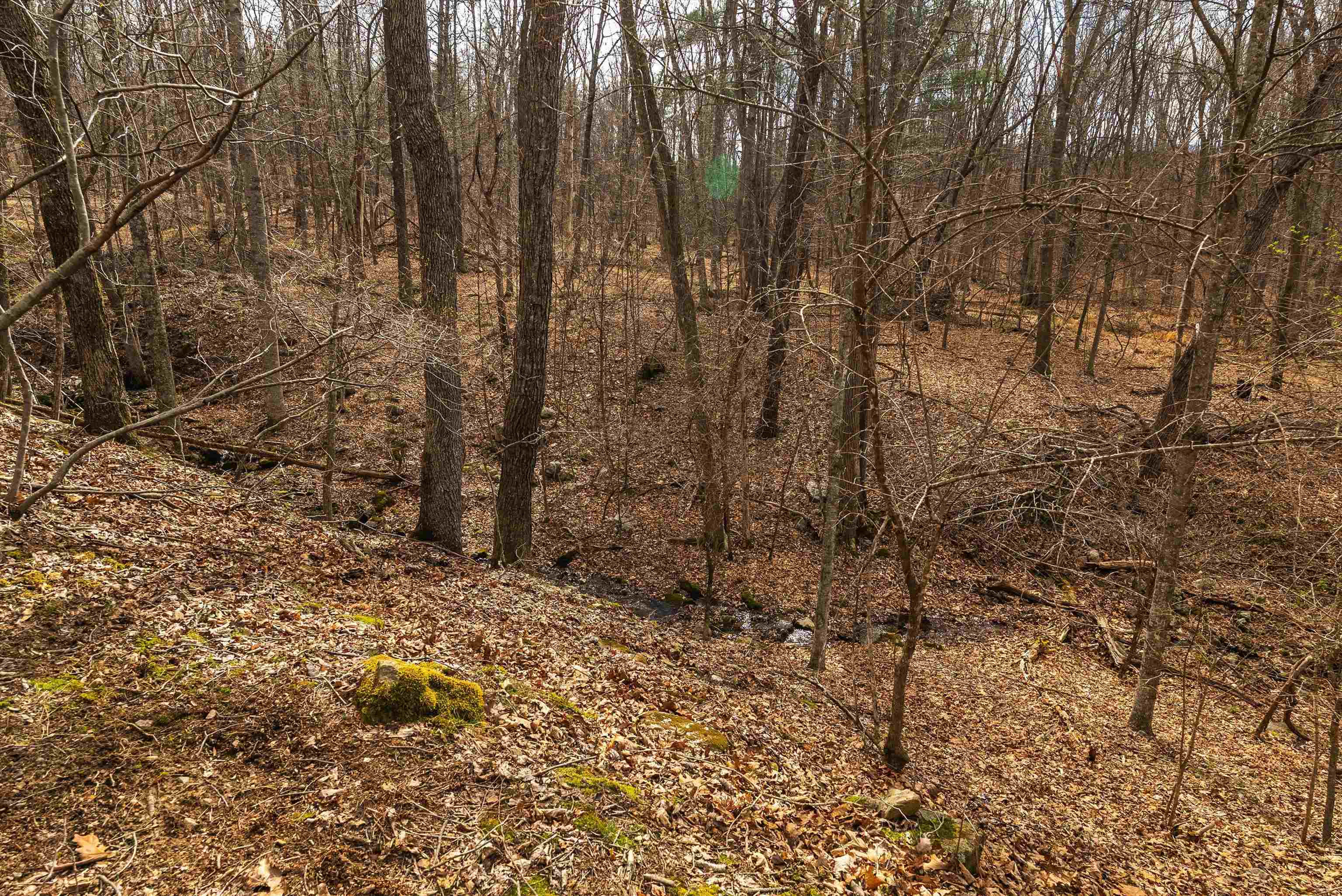 81.5 Acres HOPKINS GAP RD, FULKS RUN, Virginia 22830, ,Farm,14,81.5 Acres HOPKINS GAP RD,675971 MLS # 675971