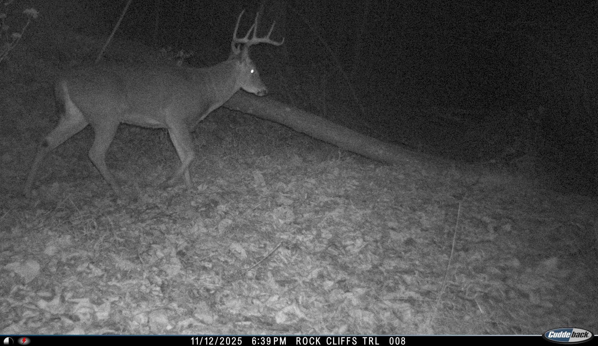 81.5 Acres HOPKINS GAP RD, FULKS RUN, Virginia 22830, ,Farm,14,81.5 Acres HOPKINS GAP RD,675971 MLS # 675971