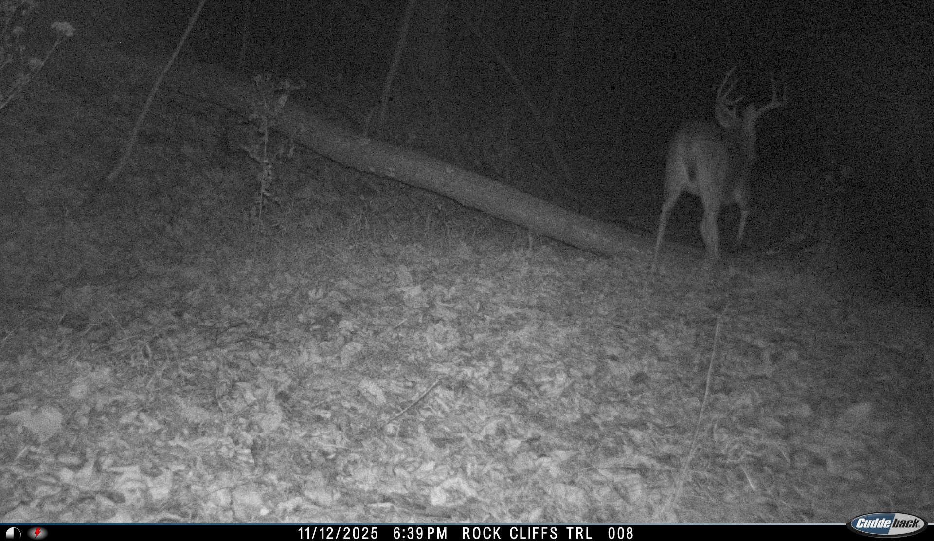 81.5 Acres HOPKINS GAP RD, FULKS RUN, Virginia 22830, ,Farm,14,81.5 Acres HOPKINS GAP RD,675971 MLS # 675971