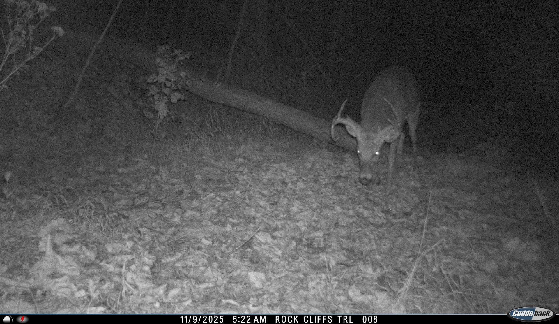 81.5 Acres HOPKINS GAP RD, FULKS RUN, Virginia 22830, ,Farm,14,81.5 Acres HOPKINS GAP RD,675971 MLS # 675971