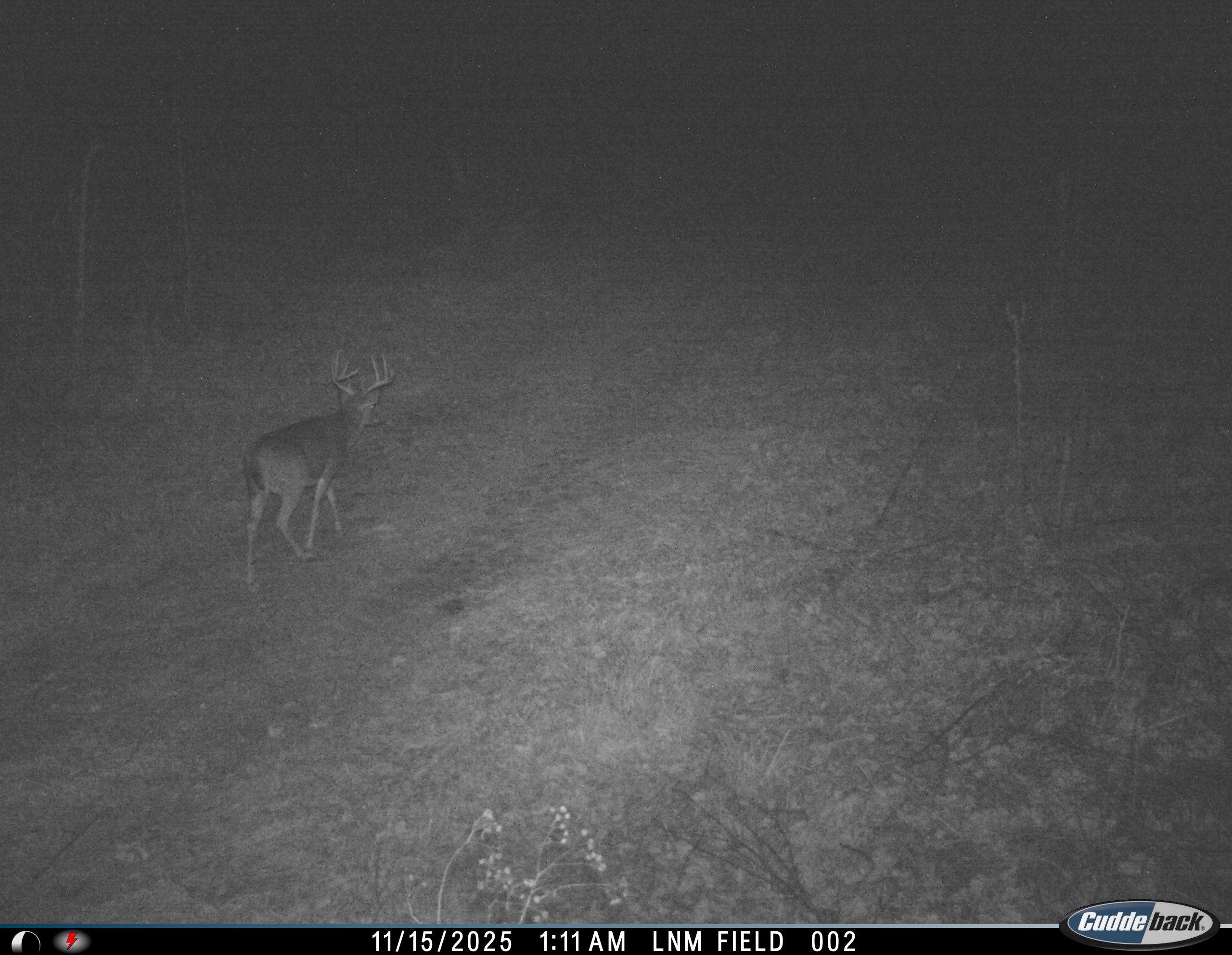 81.5 Acres HOPKINS GAP RD, FULKS RUN, Virginia 22830, ,Farm,14,81.5 Acres HOPKINS GAP RD,675971 MLS # 675971