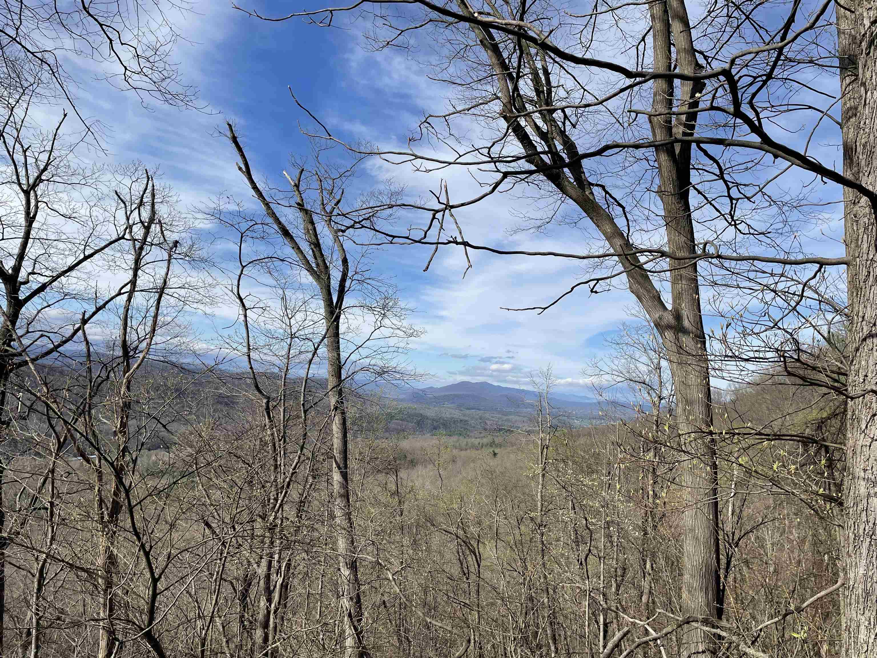81.5 Acres HOPKINS GAP RD, FULKS RUN, Virginia 22830, ,Farm,14,81.5 Acres HOPKINS GAP RD,675971 MLS # 675971