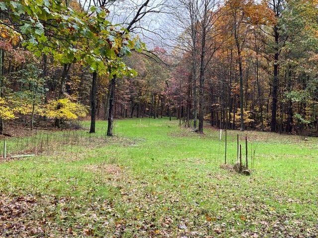 81.5 Acres HOPKINS GAP RD, FULKS RUN, Virginia 22830, ,Farm,14,81.5 Acres HOPKINS GAP RD,675971 MLS # 675971