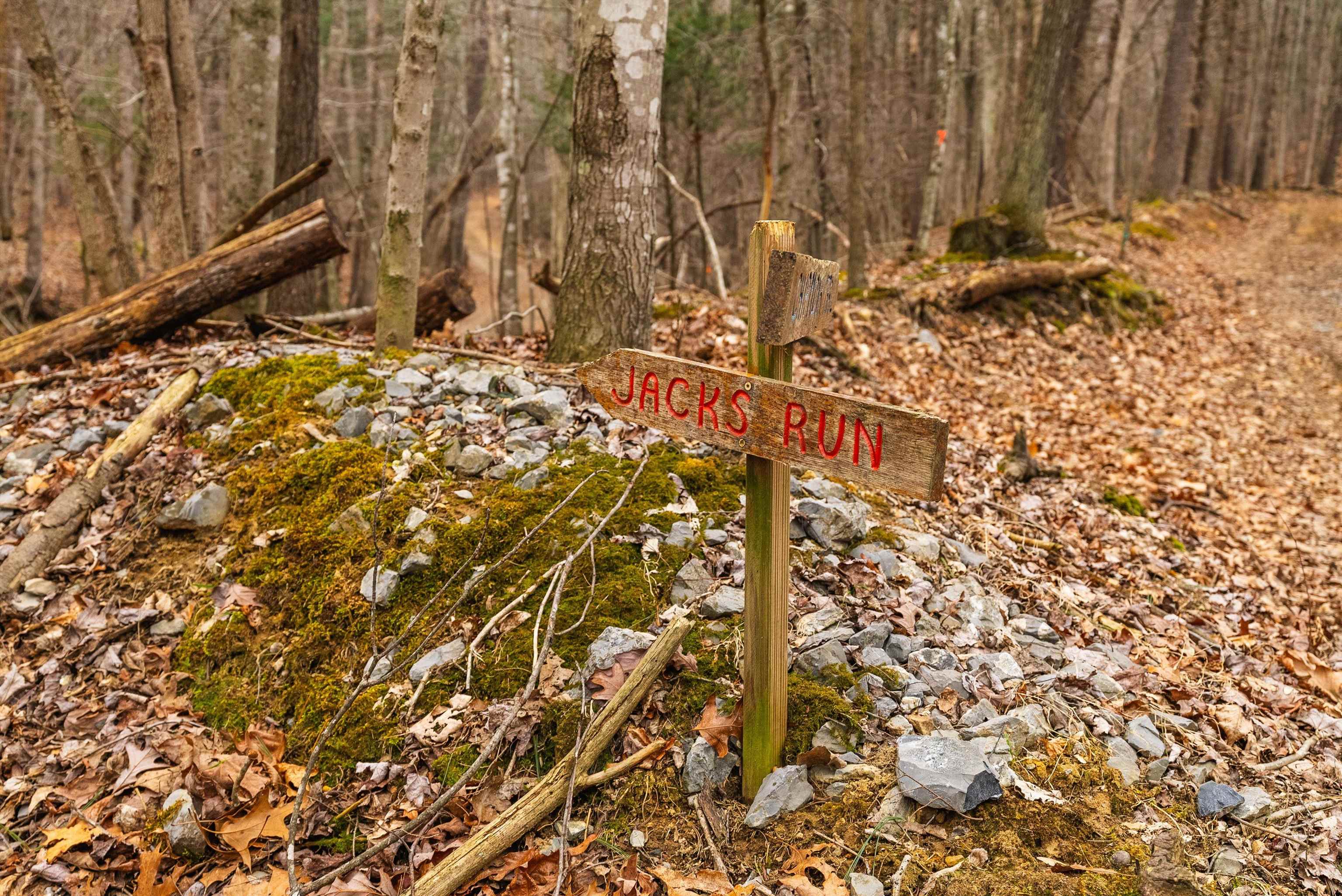 81.5 Acres HOPKINS GAP RD, FULKS RUN, Virginia 22830, ,Farm,14,81.5 Acres HOPKINS GAP RD,675971 MLS # 675971