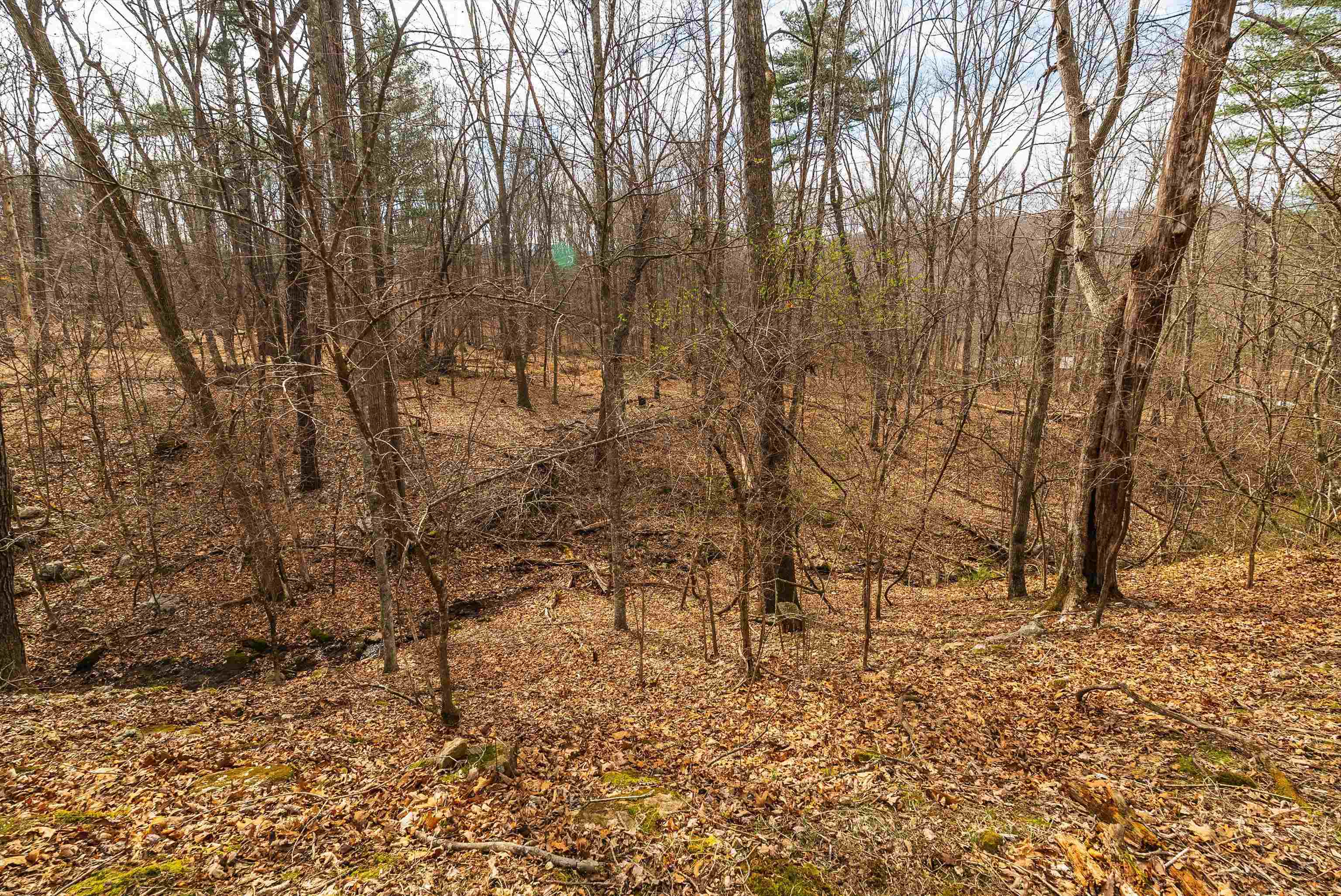 81.5 Acres HOPKINS GAP RD, FULKS RUN, Virginia 22830, ,Farm,14,81.5 Acres HOPKINS GAP RD,675971 MLS # 675971