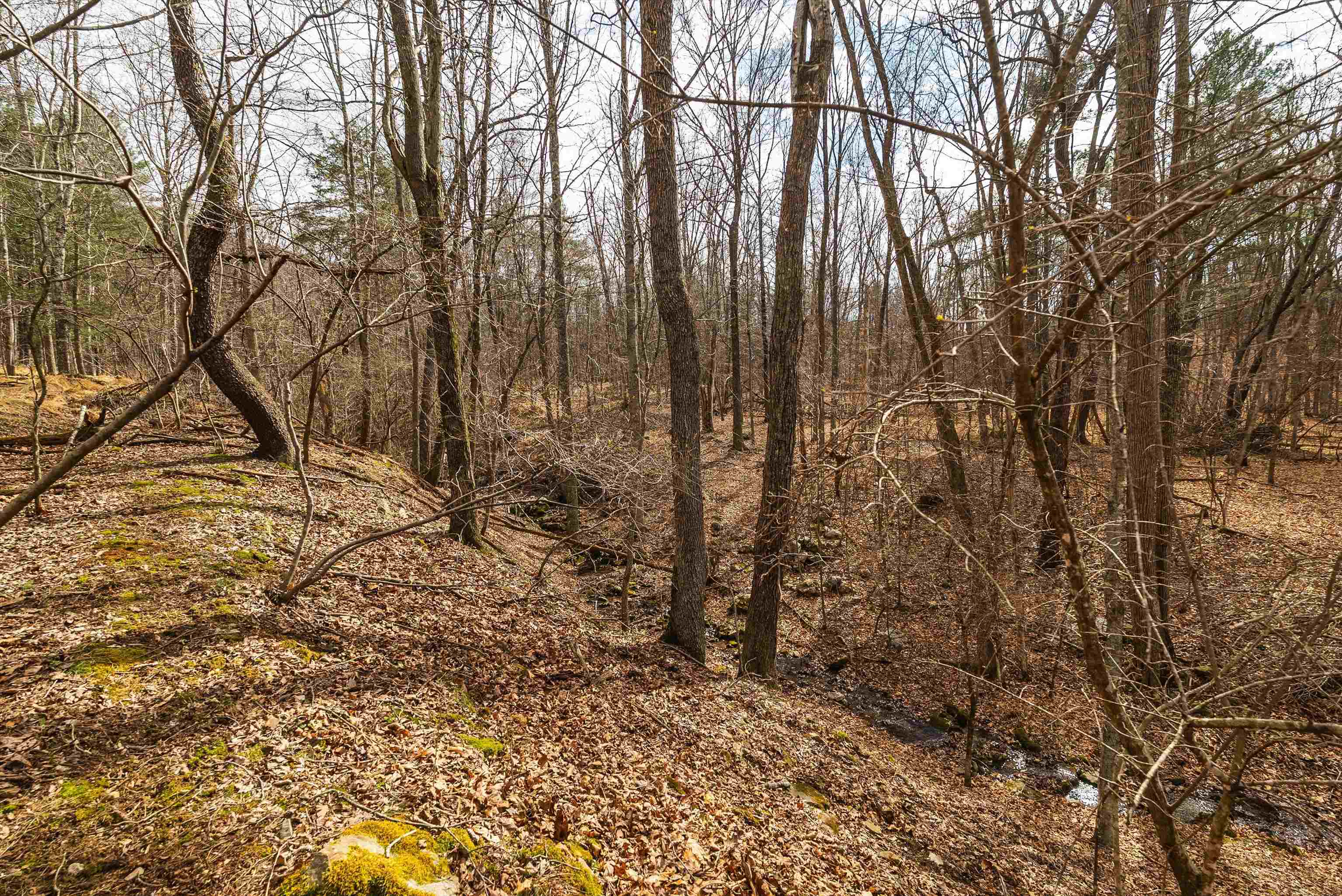 81.5 Acres HOPKINS GAP RD, FULKS RUN, Virginia 22830, ,Farm,14,81.5 Acres HOPKINS GAP RD,675971 MLS # 675971