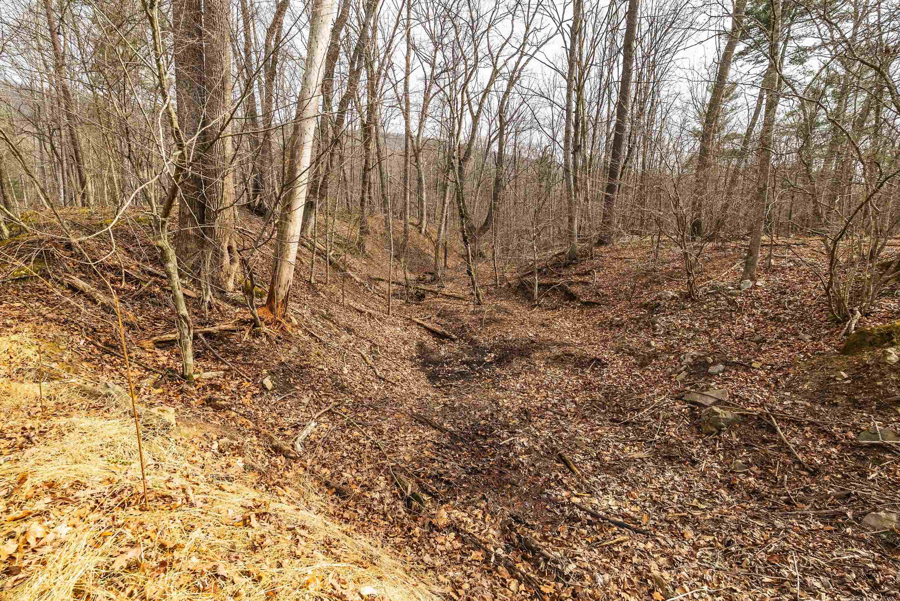 81.5 Acres HOPKINS GAP RD, FULKS RUN, Virginia 22830, ,Farm,14,81.5 Acres HOPKINS GAP RD,675971 MLS # 675971