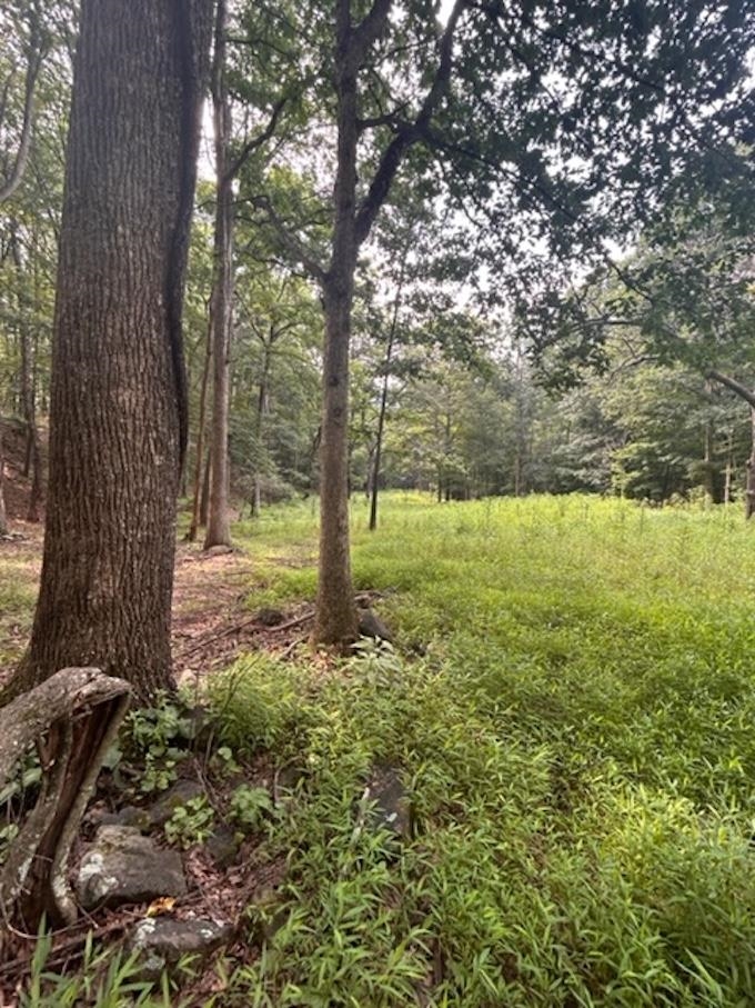 81.5 Acres HOPKINS GAP RD, FULKS RUN, Virginia 22830, ,Farm,14,81.5 Acres HOPKINS GAP RD,675971 MLS # 675971