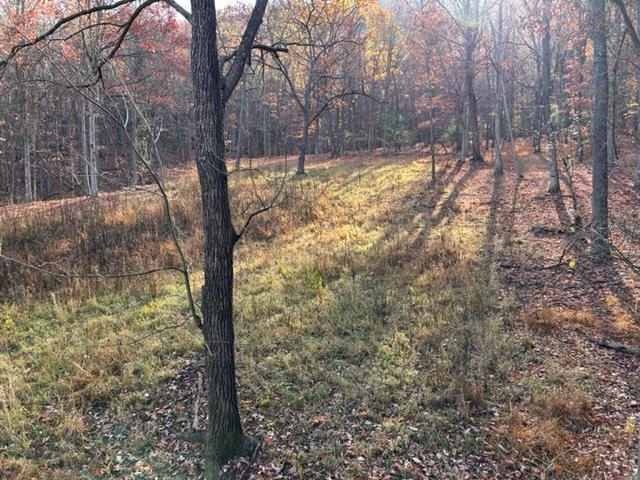 81.5 Acres HOPKINS GAP RD, FULKS RUN, Virginia 22830, ,Farm,14,81.5 Acres HOPKINS GAP RD,675971 MLS # 675971