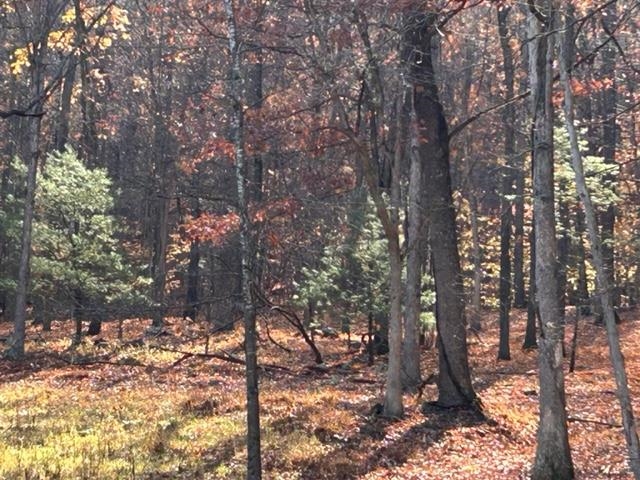 81.5 Acres HOPKINS GAP RD, FULKS RUN, Virginia 22830, ,Farm,14,81.5 Acres HOPKINS GAP RD,675971 MLS # 675971