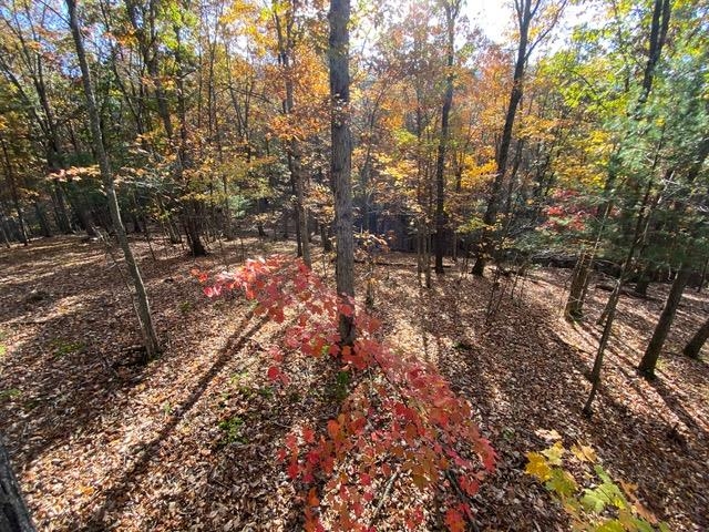 81.5 Acres HOPKINS GAP RD, FULKS RUN, Virginia 22830, ,Farm,14,81.5 Acres HOPKINS GAP RD,675971 MLS # 675971