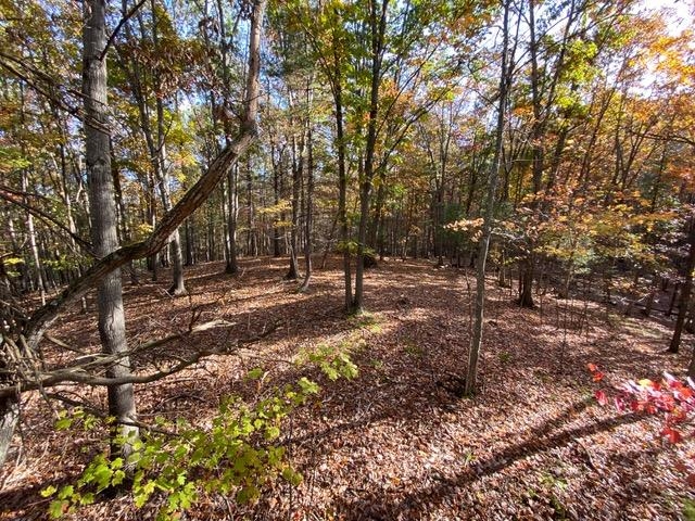 81.5 Acres HOPKINS GAP RD, FULKS RUN, Virginia 22830, ,Farm,14,81.5 Acres HOPKINS GAP RD,675971 MLS # 675971