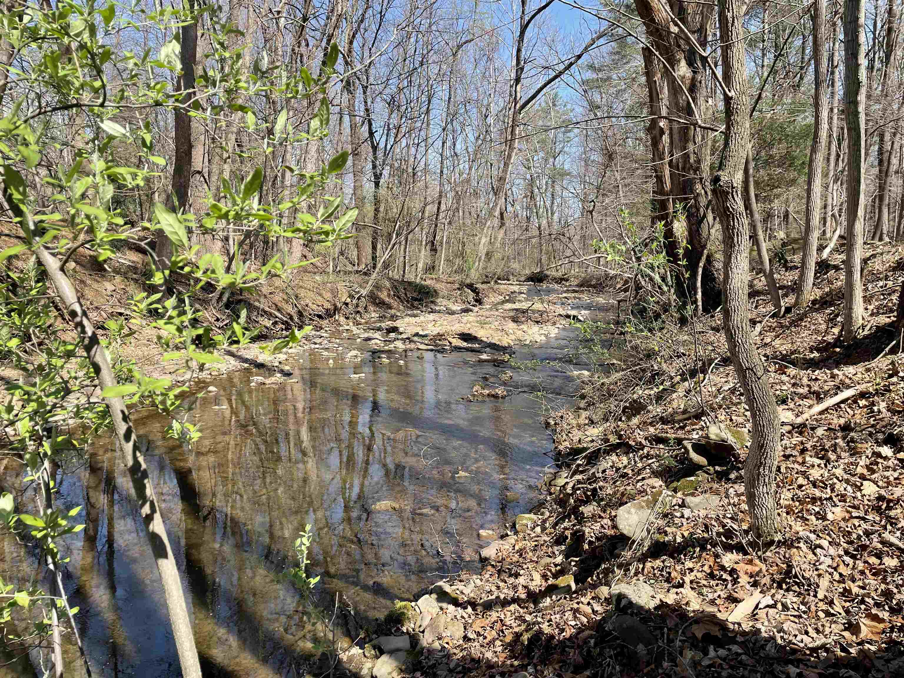 81.5 Acres HOPKINS GAP RD, FULKS RUN, Virginia 22830, ,Farm,14,81.5 Acres HOPKINS GAP RD,675971 MLS # 675971
