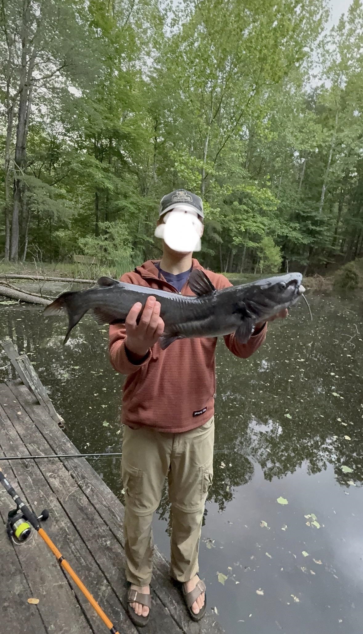 163 acres HOPKINS GAP RD, FULKS RUN, Virginia 22830, ,Farm,14,163 acres HOPKINS GAP RD,675968 MLS # 675968