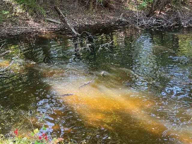 163 acres HOPKINS GAP RD, FULKS RUN, Virginia 22830, ,Farm,14,163 acres HOPKINS GAP RD,675968 MLS # 675968