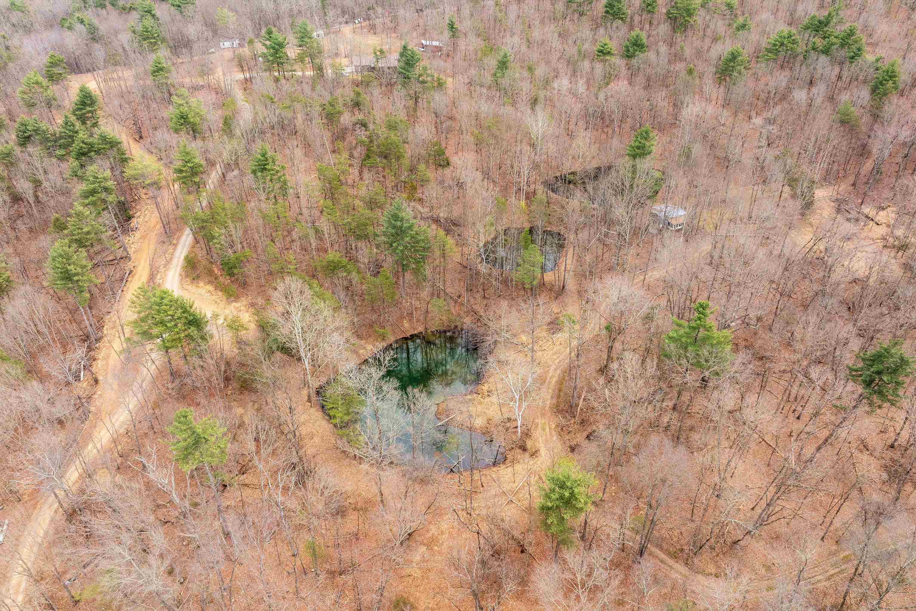 163 acres HOPKINS GAP RD, FULKS RUN, Virginia 22830, ,Farm,14,163 acres HOPKINS GAP RD,675968 MLS # 675968