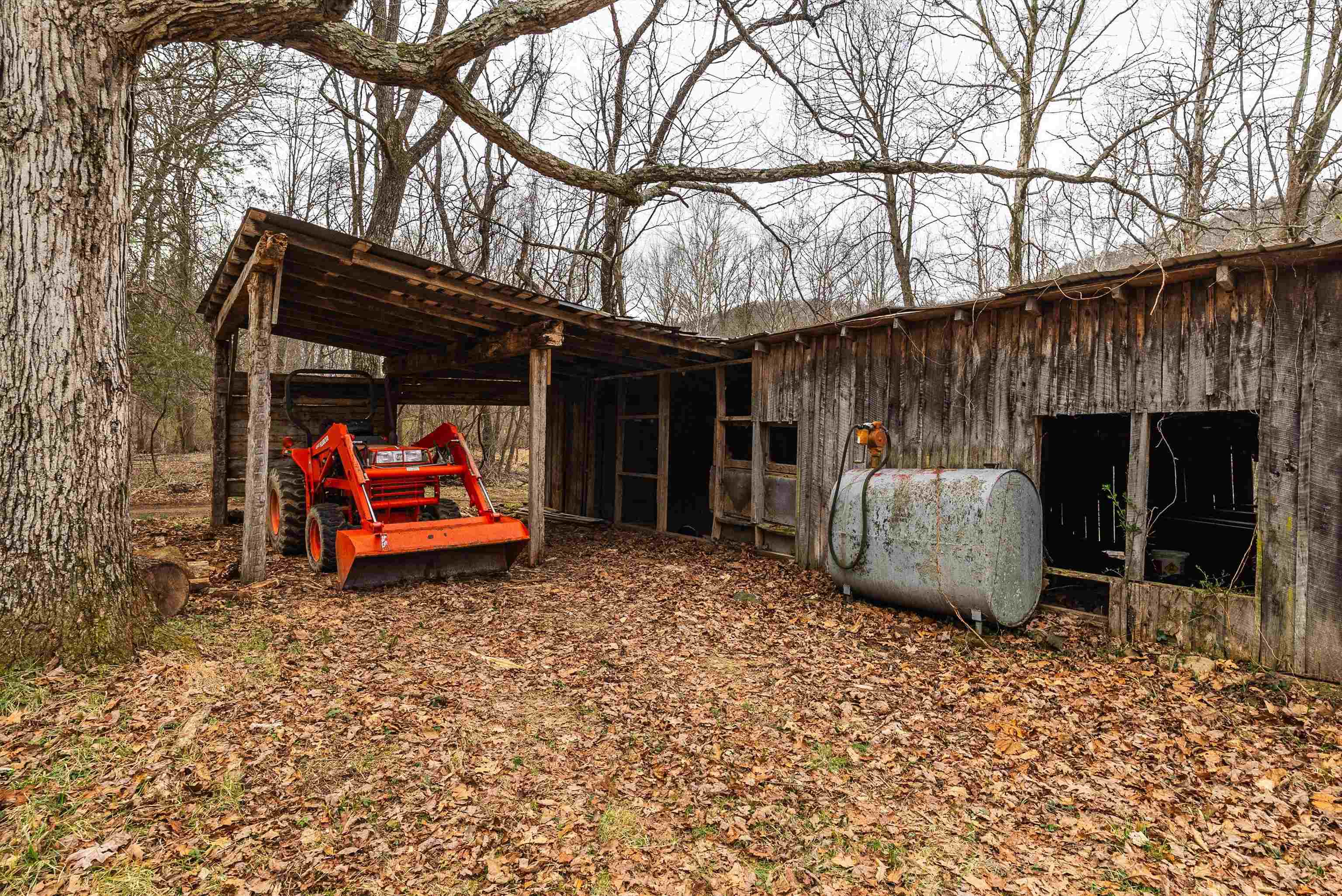 163 acres HOPKINS GAP RD, FULKS RUN, Virginia 22830, ,Farm,14,163 acres HOPKINS GAP RD,675968 MLS # 675968