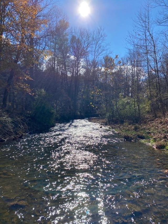 163 acres HOPKINS GAP RD, FULKS RUN, Virginia 22830, ,Farm,14,163 acres HOPKINS GAP RD,675968 MLS # 675968