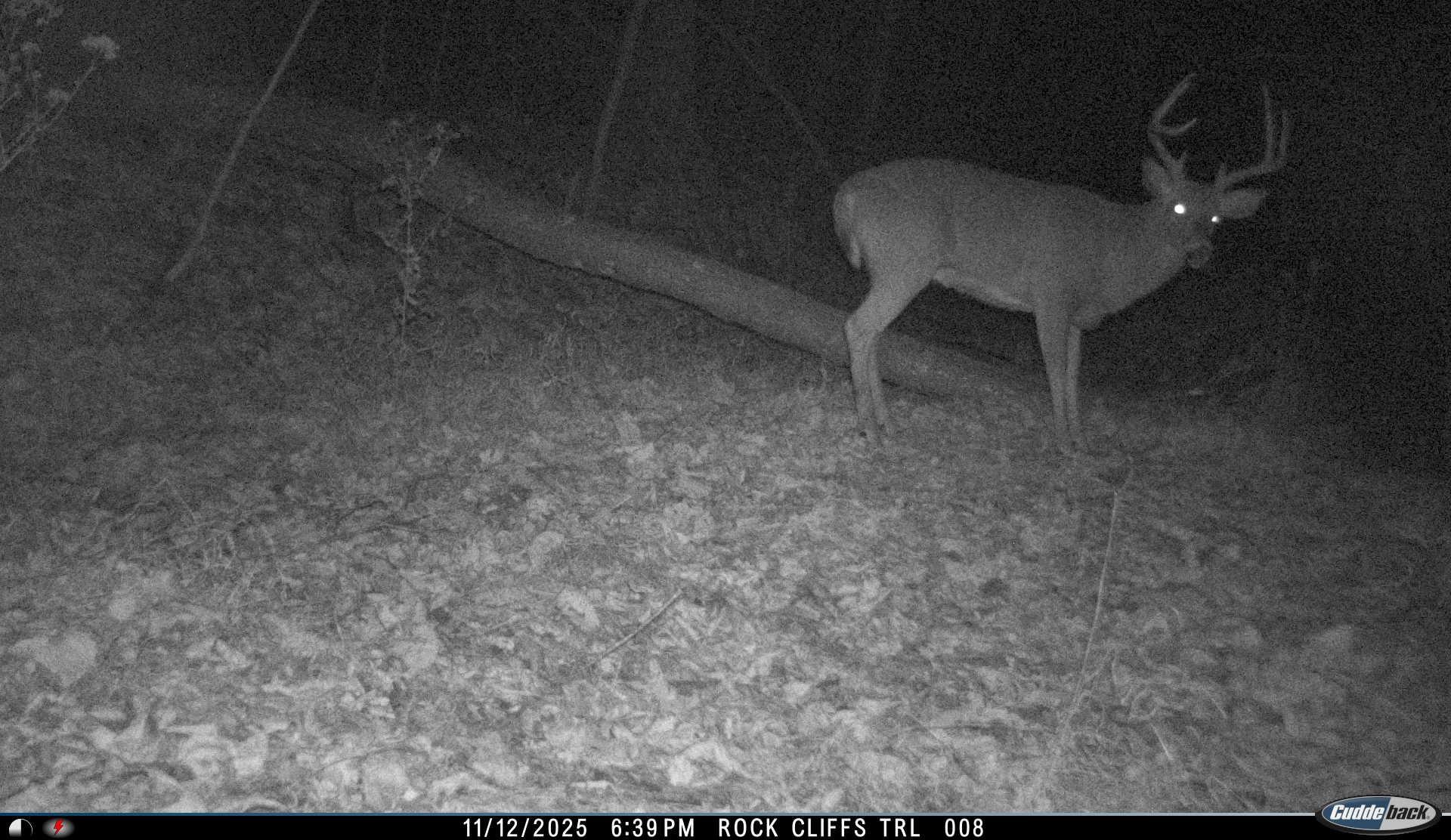 163 acres HOPKINS GAP RD, FULKS RUN, Virginia 22830, ,Farm,14,163 acres HOPKINS GAP RD,675968 MLS # 675968