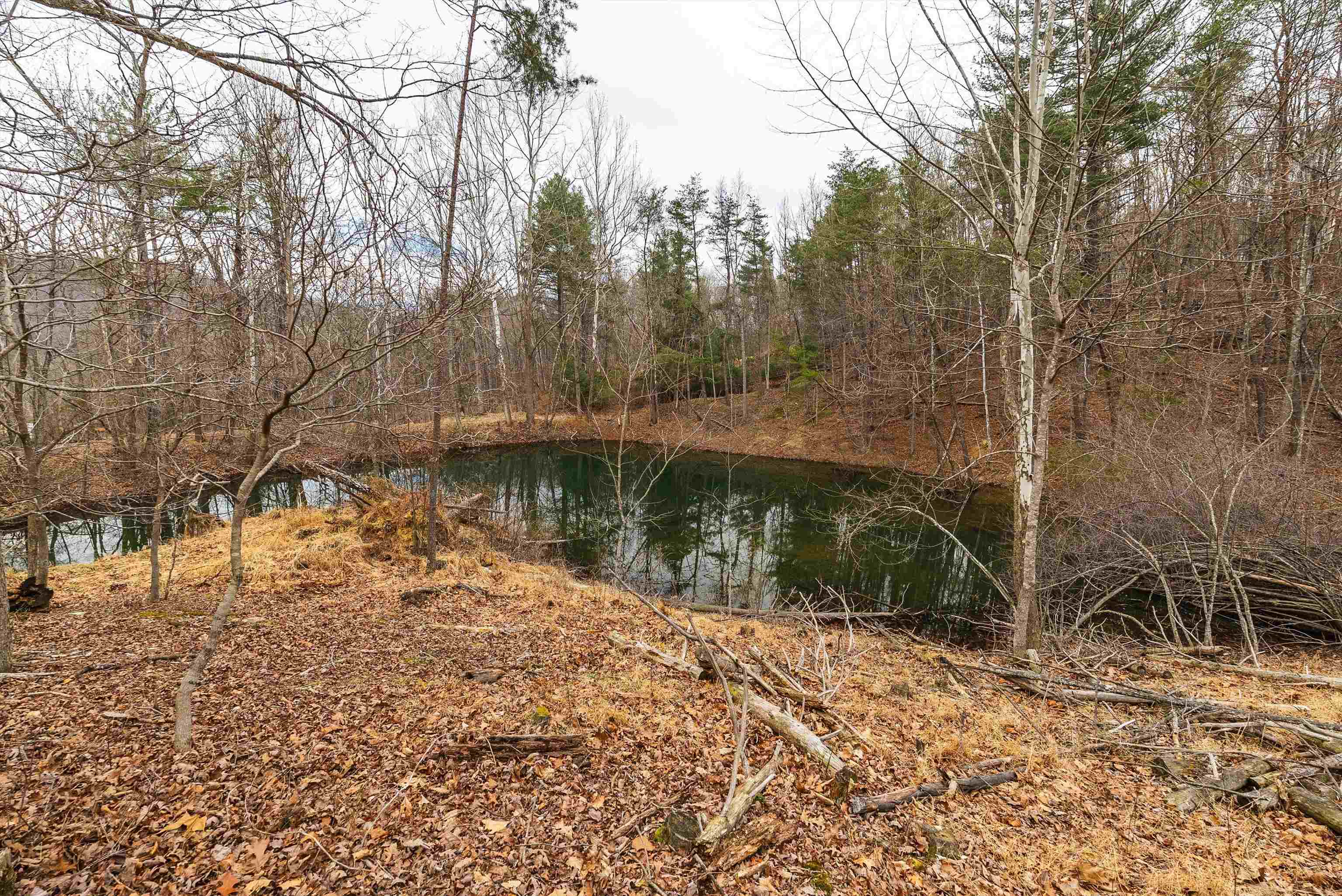 163 acres HOPKINS GAP RD, FULKS RUN, Virginia 22830, ,Farm,14,163 acres HOPKINS GAP RD,675968 MLS # 675968