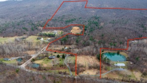 163 acres HOPKINS GAP RD FULKS RUN Virginia 22830